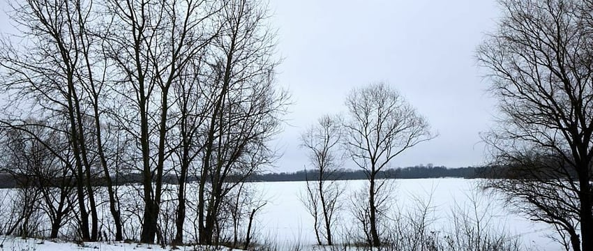 В Гомеле в полынье чуть не утонул рыбак.