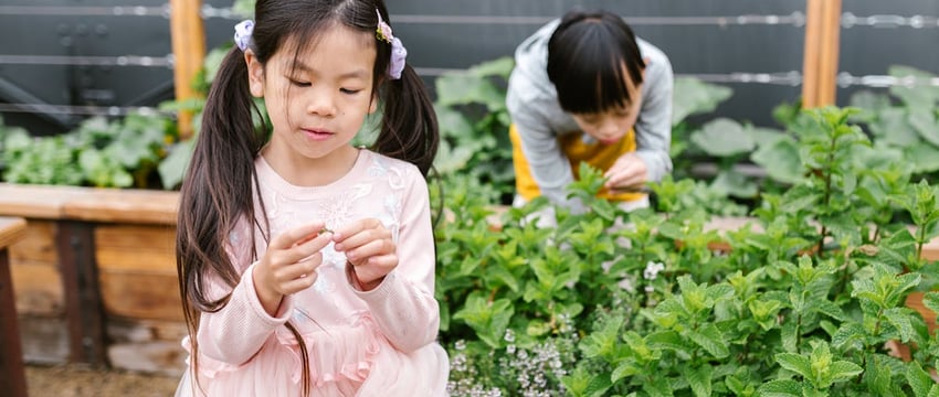 Куда отправиться за выгодными покупками?
