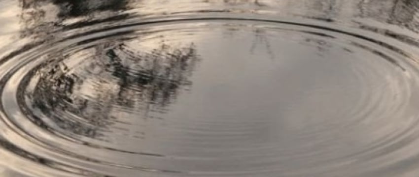 Мужчина утонул в мелиоративном канале в Брестской области