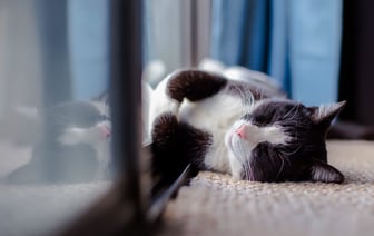 Батареи снова включат — жилфонд Витебска переводят в режим «протапливания»