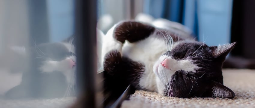 Батареи снова включат — жилфонд Витебска переводят в режим «протапливания»