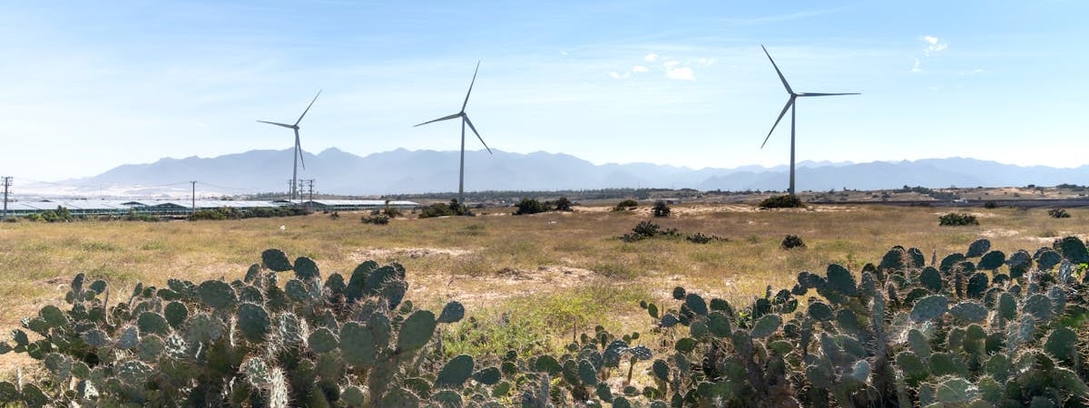 Крупнейшим источником генерации в ЕС в 2023 году стали ВИЭ