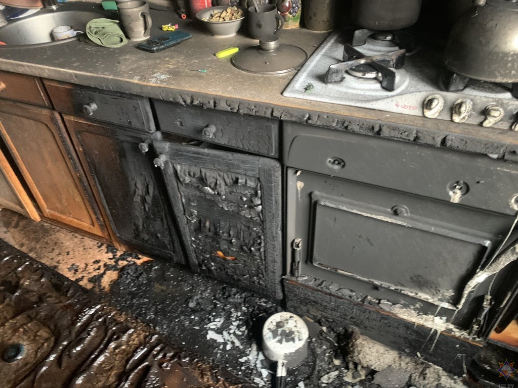 Кот спас хозяина от смерти на пожаре в Слониме