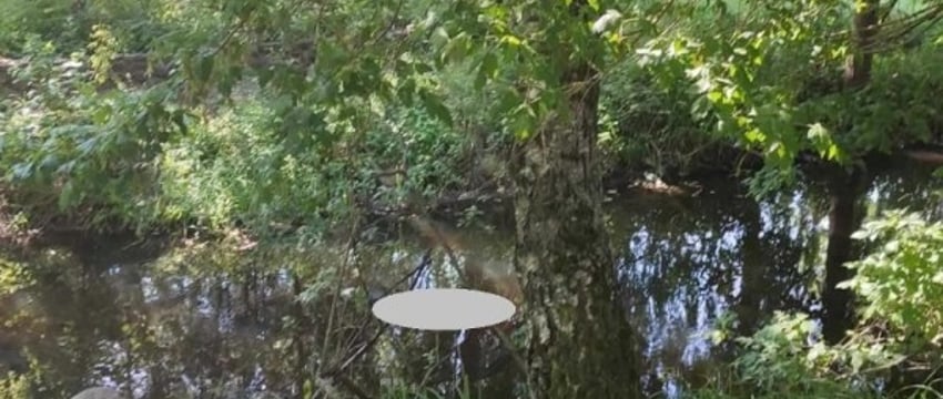 В Пинском районе утонул мужчина в реке Меречанка