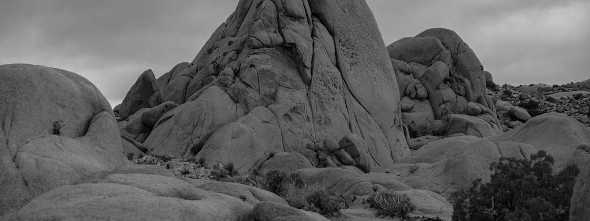 НАН ввела надбавку к зарплате белорусских судэкспертов. За что?