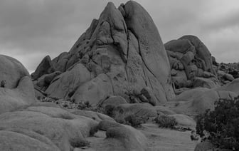 НАН ввела надбавку к зарплате белорусских судэкспертов. За что?