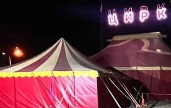 Пантера напала на трехлетнего ребенка в цирке Ангарска