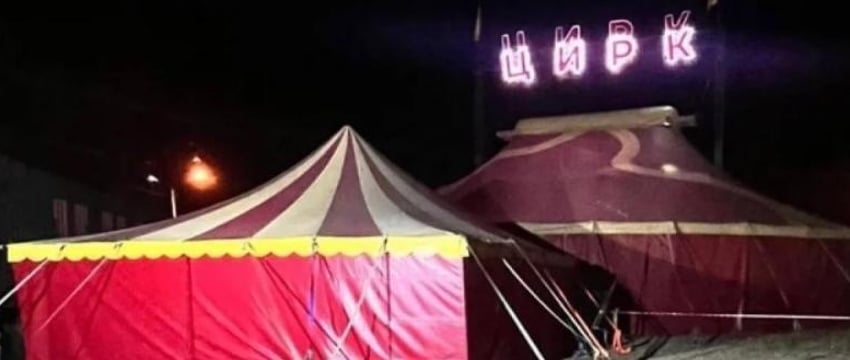 Пантера напала на трехлетнего ребенка в цирке Ангарска