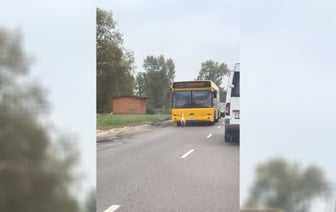 «И пусть весь мир подождёт» — В Бресте гусь собрал на дороге целую колонну авто — Видео