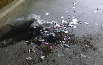 Шары с мусором: ответ Северной Кореи на пропаганду Южной Кореи