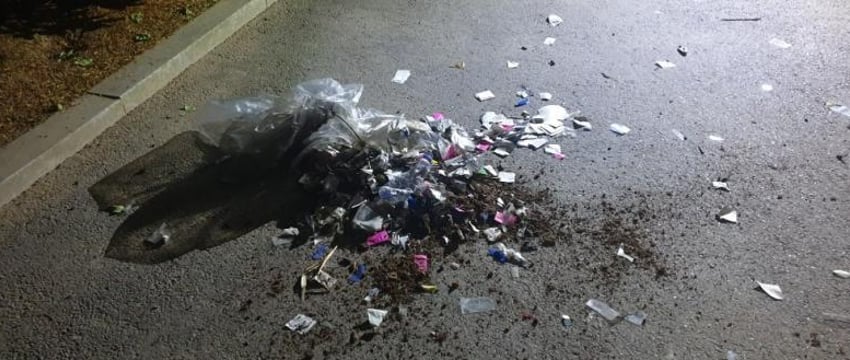 Шары с мусором: ответ Северной Кореи на пропаганду Южной Кореи