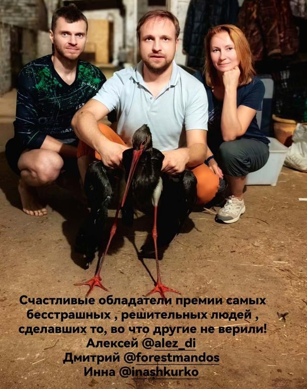 Белорусы спасли раненого черного аиста