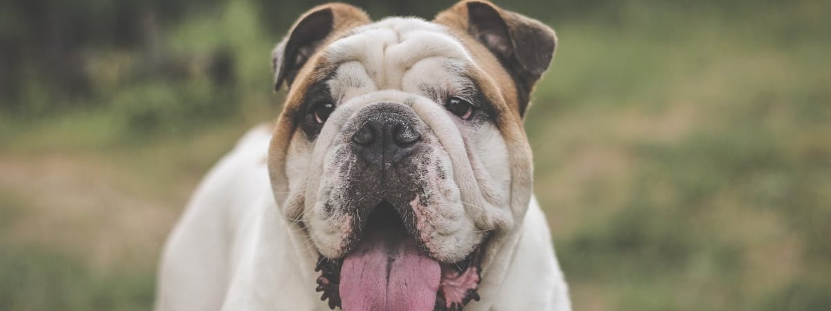 Товарооборот Украины за девять месяцев превысил $80 млрд