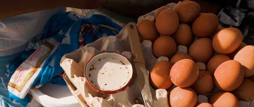 Аппетитный «Ми-Шу»: продукты Полоцкого молочного комбината предстанут в новой упаковке