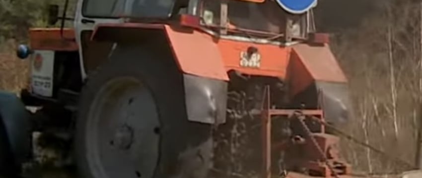 В Кобринском районе уничтожено поле конопли