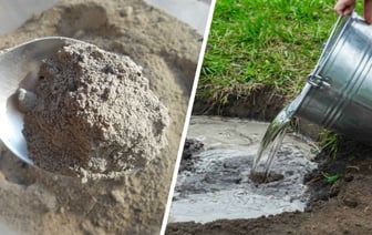 Большинство людей используют золу на огороде неправильно? Вот как приготовить из нее полезный раствор