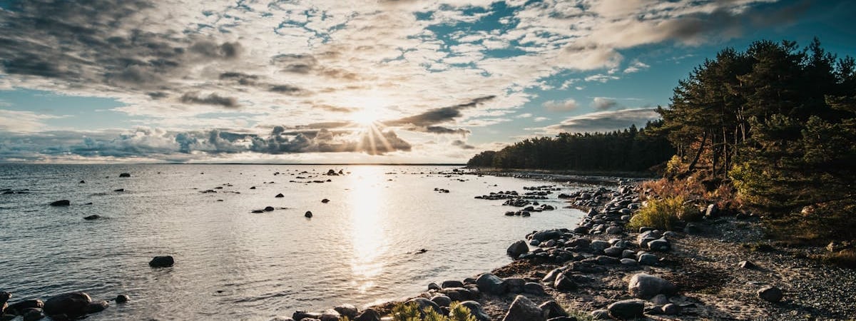 В Эстонии планируют запретить подачу ходатайств и документов на русском языке