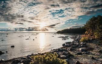 В Эстонии планируют запретить подачу ходатайств и документов на русском языке