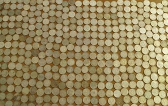 Белорус пытался ввезти из Литвы 540 монет Третьего рейха