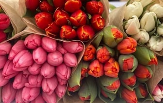В Бресте 13-14 февраля будут продавать цветы