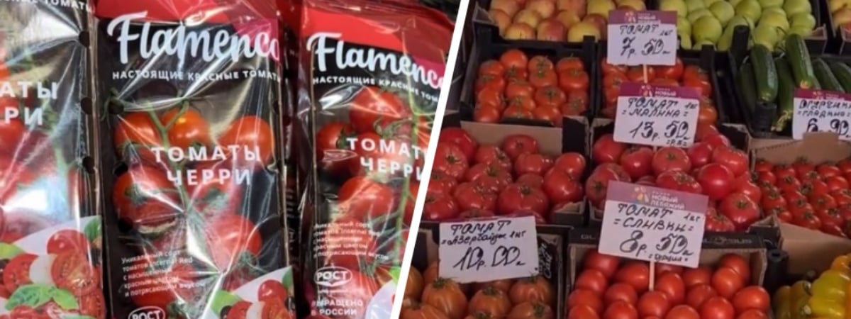 Минчанка возмутилась российским помидорам «дороже египетских» в столичном магазине. Где найти по 7,5 рубля за кило? — Видео