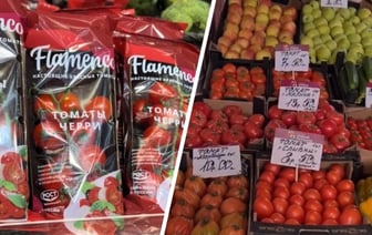 Минчанка возмутилась российским помидорам «дороже египетских» в столичном магазине. Где найти по 7,5 рубля за кило? — Видео