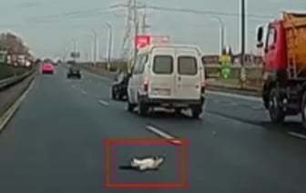 В Минске водитель спас выпавшую из микроавтобуса кошку от гибели под колесами, но сам попал в аварию — видео