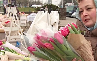 Цветочный «бум»: ярмарка тюльпанов в Бресте. Смотрите видеорепортаж
