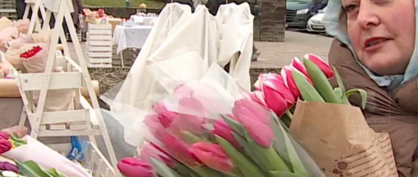 Цветочный «бум»: ярмарка тюльпанов в Бресте. Смотрите видеорепортаж