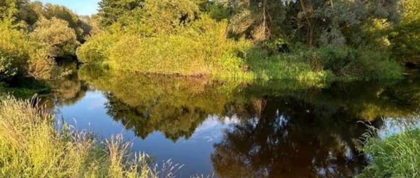 В Брестском районе утонул мужчина