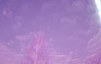 Жителей Смолевичского района попросили поискать «необычные камни». Под Минском упал метеорит?