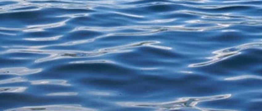 В Беларуси двухлетний мальчик утонул в пруду