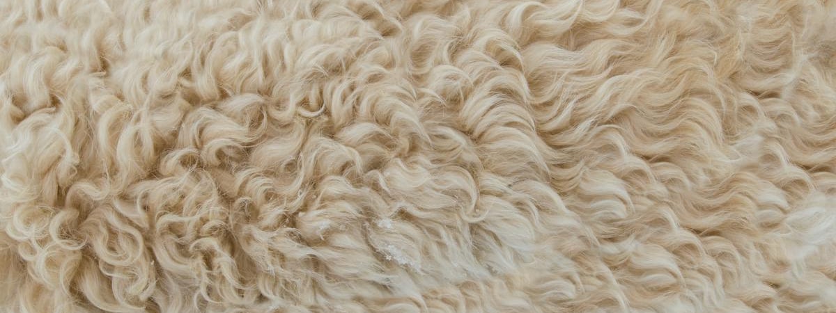 «Мне такая жизнь нравится». Кочанова рассказала, чем занимается в свободное время