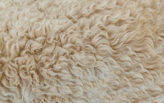 «Мне такая жизнь нравится». Кочанова рассказала, чем занимается в свободное время