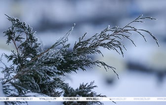 Какую погоду ждать белорусам с 10 по 16 февраля