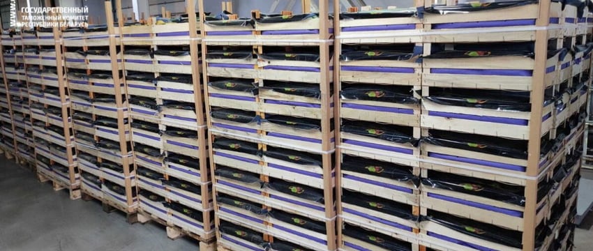 40 тонн польских груш пытались незаконно вывезти в Россию из Беларуси