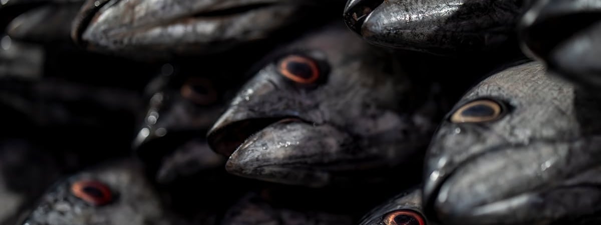 Власти Беларуси призывают FAO осудить санкционную политику ЕС