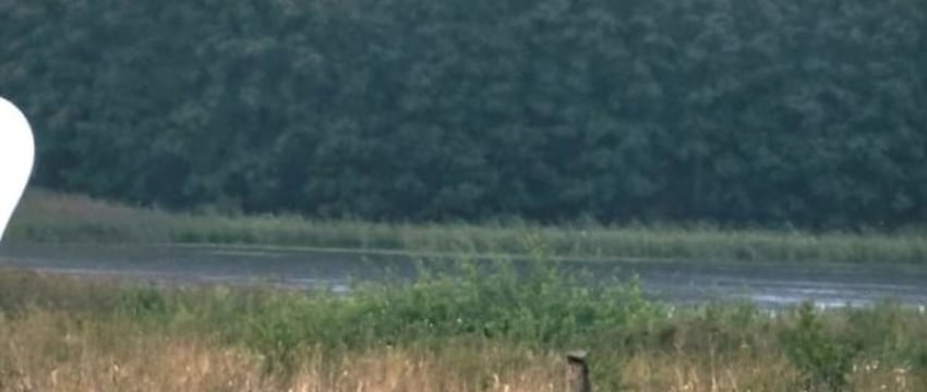 Белорусские сигареты на воздушном шаре пытались незаметно попасть в Литву