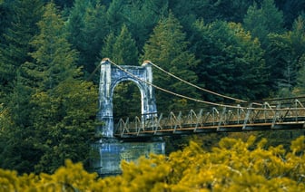 Ещё один журналист за решёткой. Александра Зенкова отправили в колонию на три года