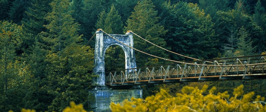 Ещё один журналист за решёткой. Александра Зенкова отправили в колонию на три года