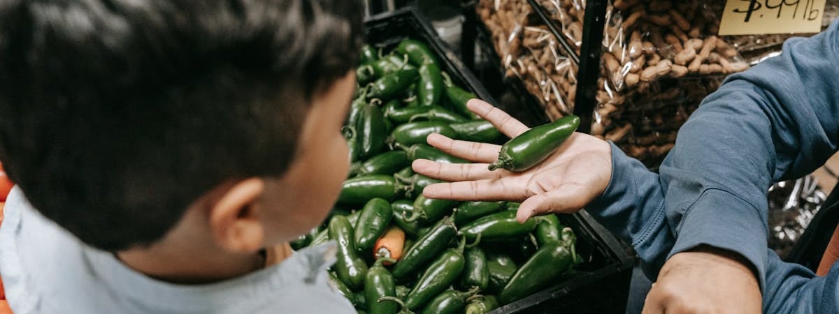 Товарооборот Беларуси и России вырос в 2024 году на 8,5%