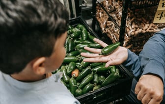 Товарооборот Беларуси и России вырос в 2024 году на 8,5%