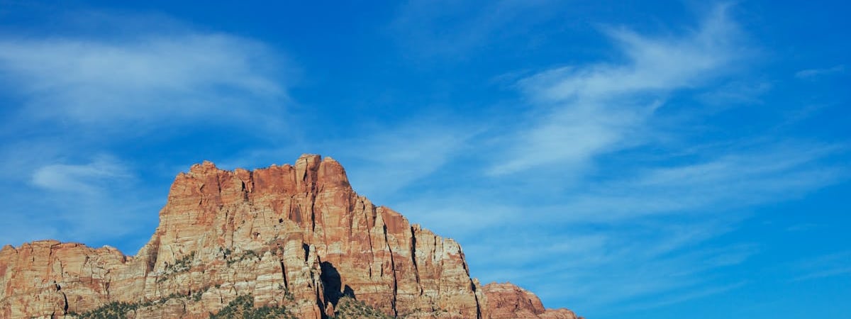 Саммит НАТО проложит мост к членству Украины