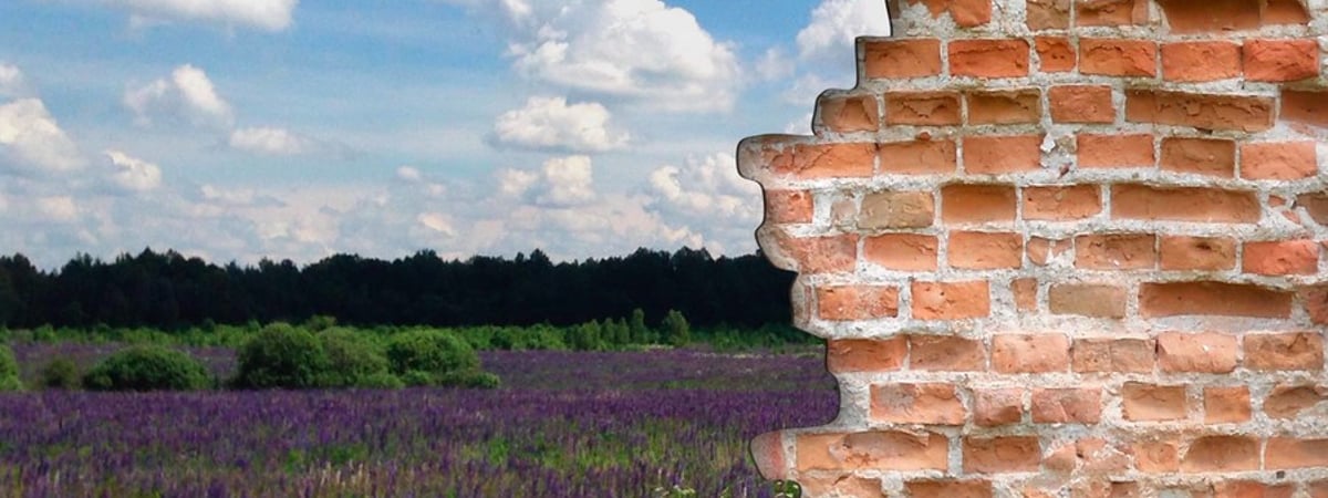 «У нас есть такой "президент". Вся вина — в нем». Репортаж с литовско-белорусской границы