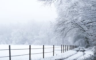 Вступает в силу соглашение между Беларусью и Россией о взаимном признании виз