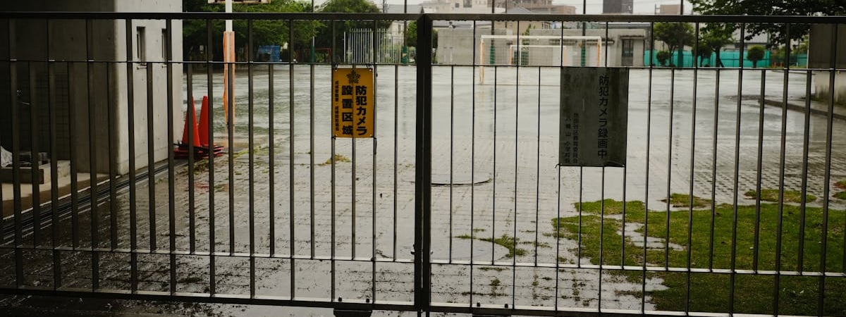 Япония запустила на орбиту деревянный искусственный спутник