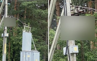 «Горел свечкой целый час». В Беларуси мужчина висел на линии электропередачи: что известно о жуткой трагедии