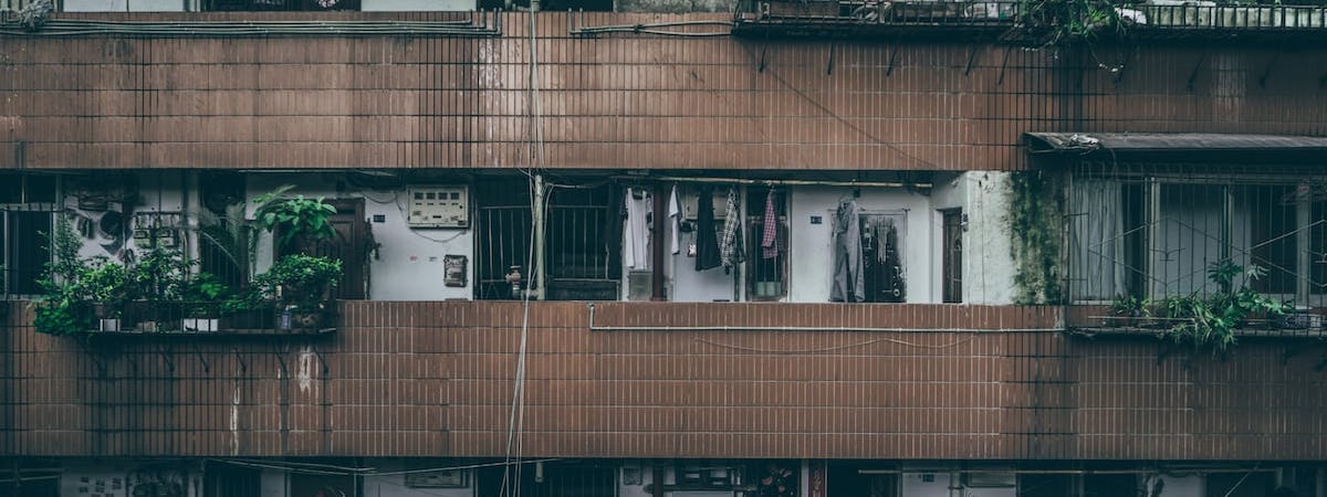 Резиденты «Великого камня» в 2023 году увеличили выручку на 54%