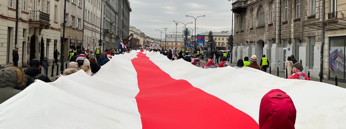 СК заявил об идентификации 365 участников протестных акций за рубежом 26 января