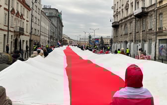 СК заявил об идентификации 365 участников протестных акций за рубежом 26 января